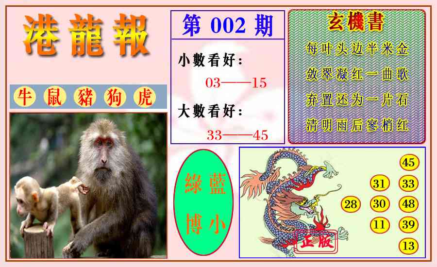 002期港龙报[图]