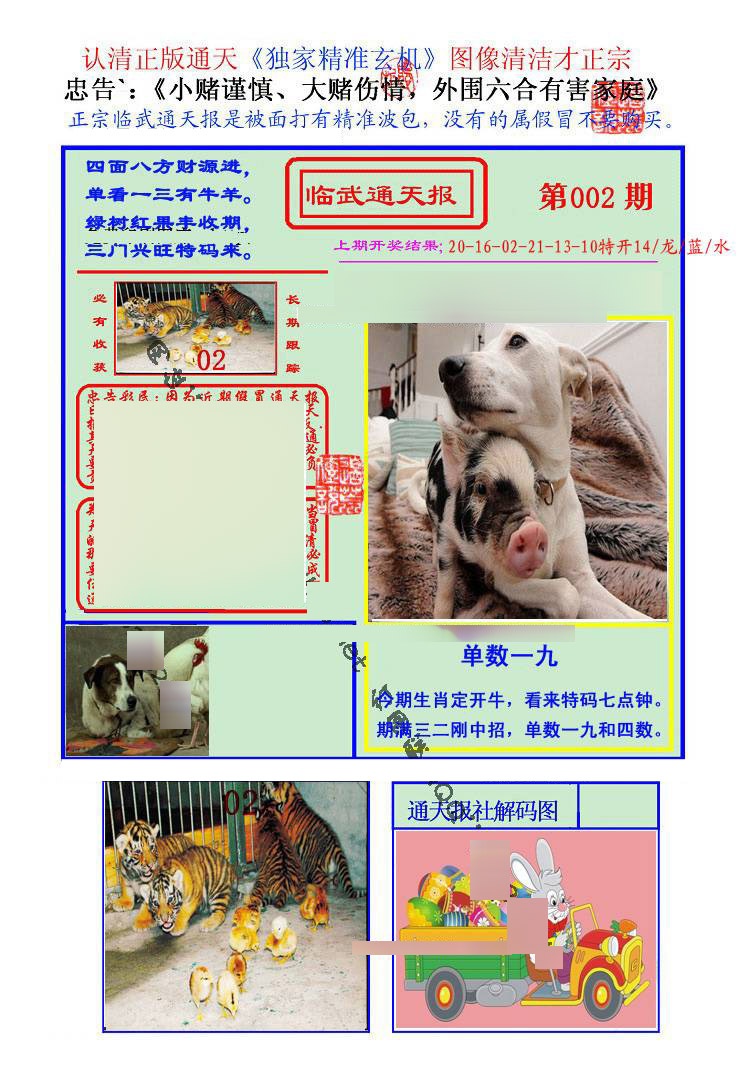 002期临武通天报[图]