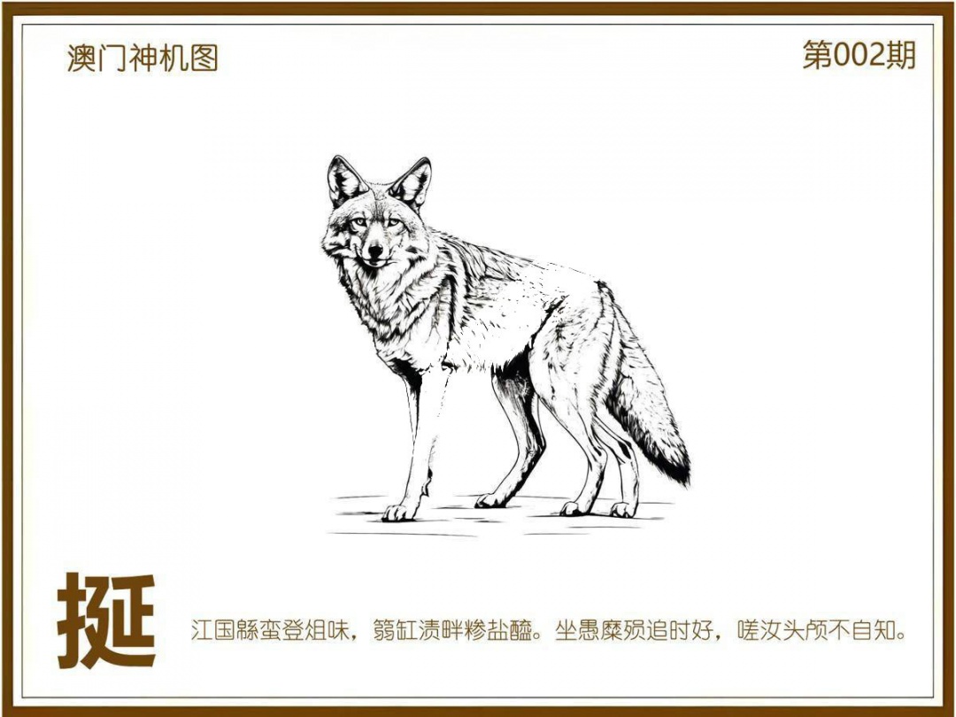 002期澳门神机图[图]