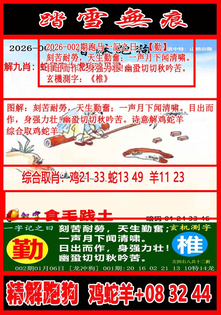 002期踏雪无痕解跑狗[图]